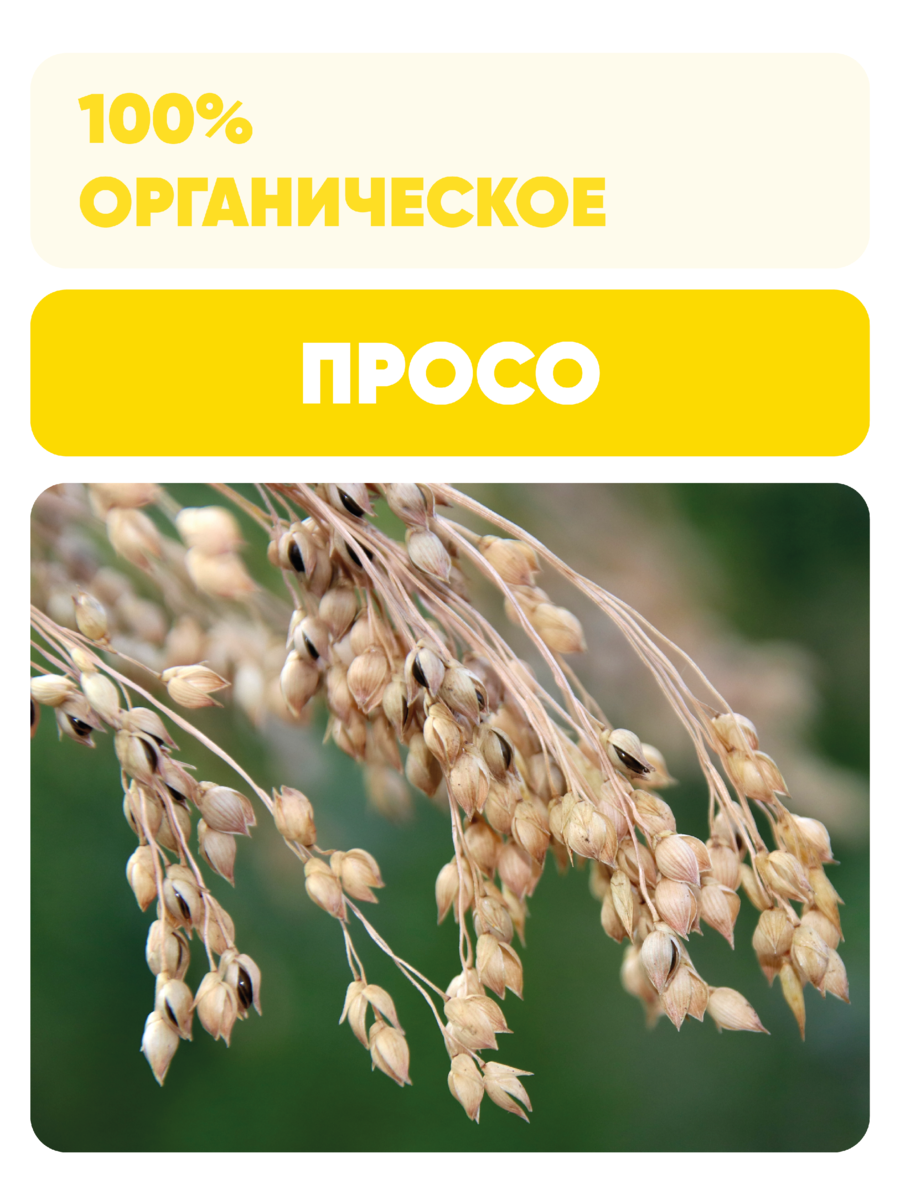 Органическое просо Чёрный хлеб