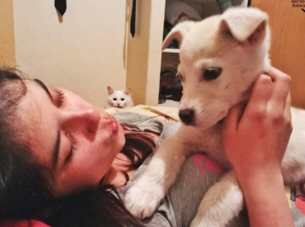 Что она себе позволяет?