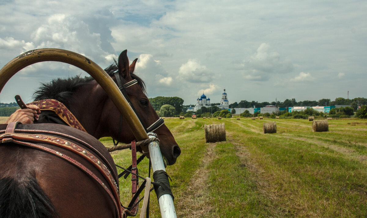 А вы верите в потусторонние силы?