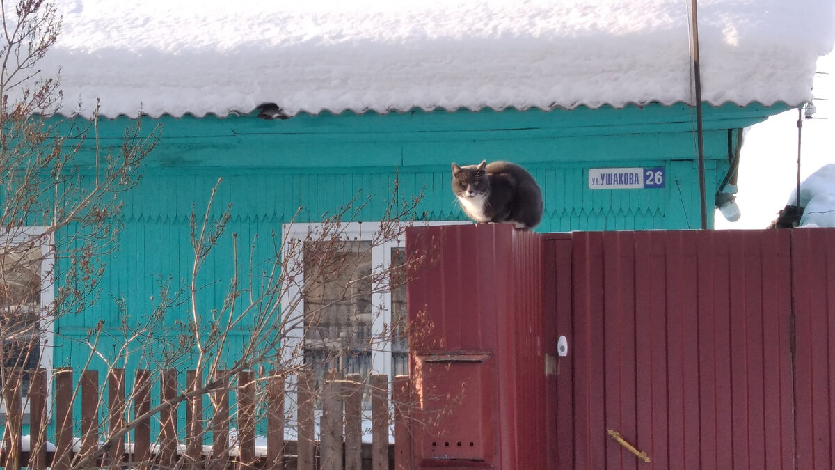 Погода в бердске на месяц самый. Весенняя погодка. До весны 13 дней. 15 Дней до весны. Фото дня на Яндексе позавчера.