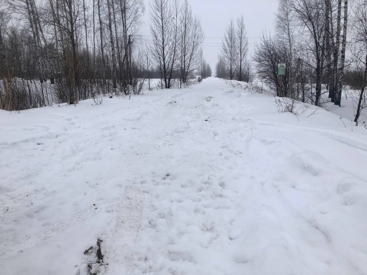 Тропа в сторону пещеры от дороги