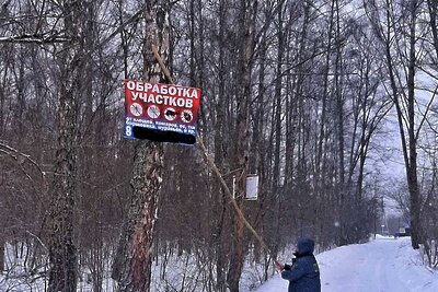    Реклама на дереве © Пресс-служба Комитета лесного хозяйства Московской области