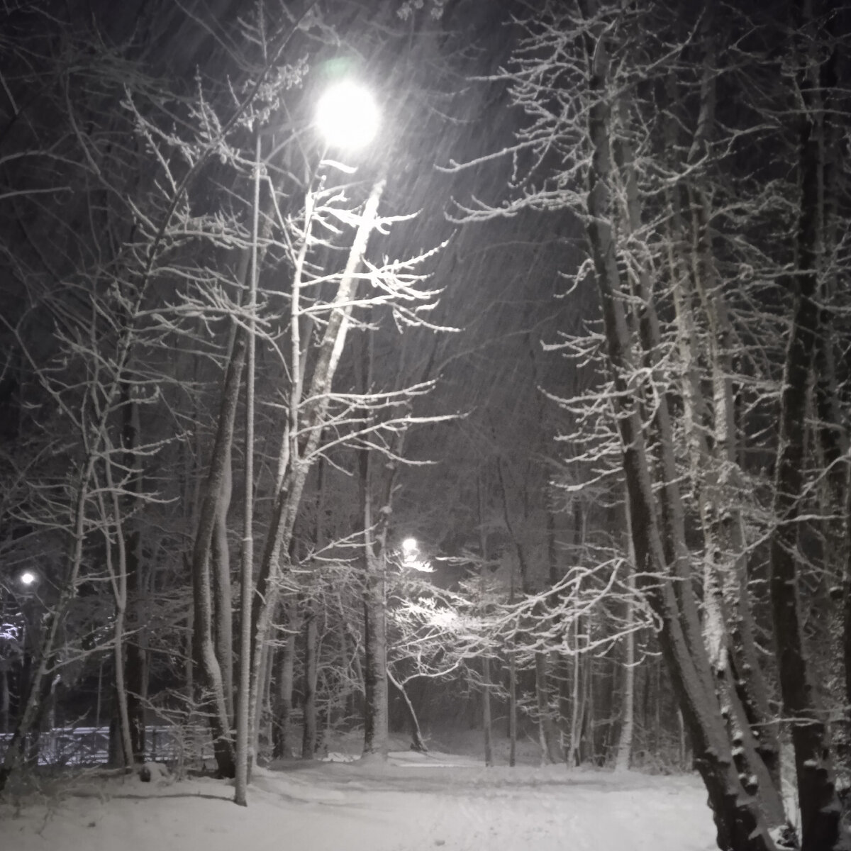 Светлогорск в снегопад