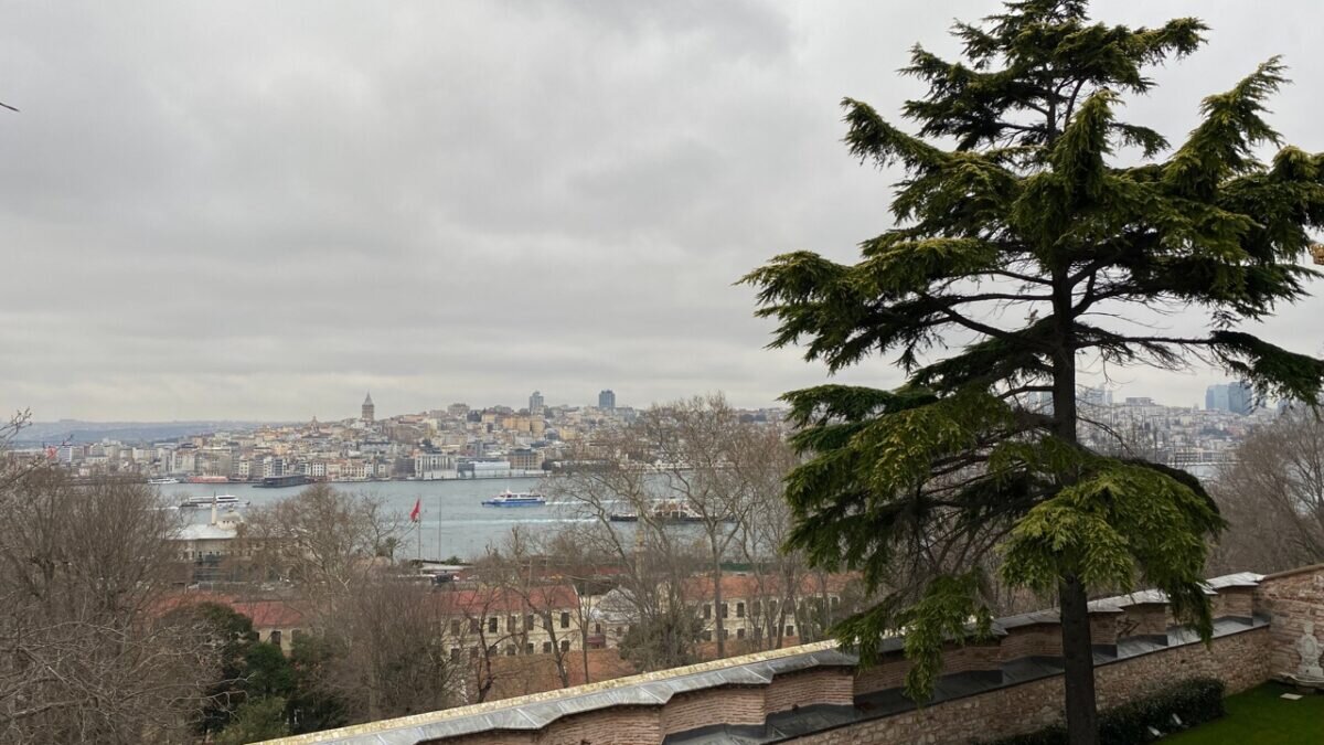 Собственное фото SM-News📷
