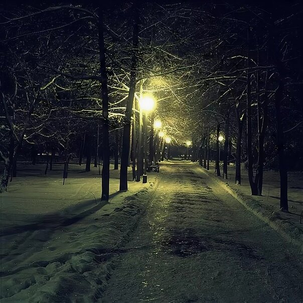 Зима ночью в парке