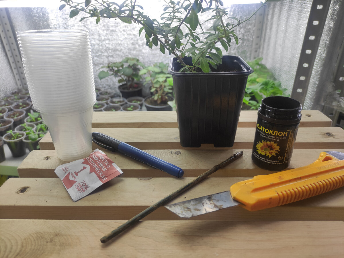 Инструменты. 