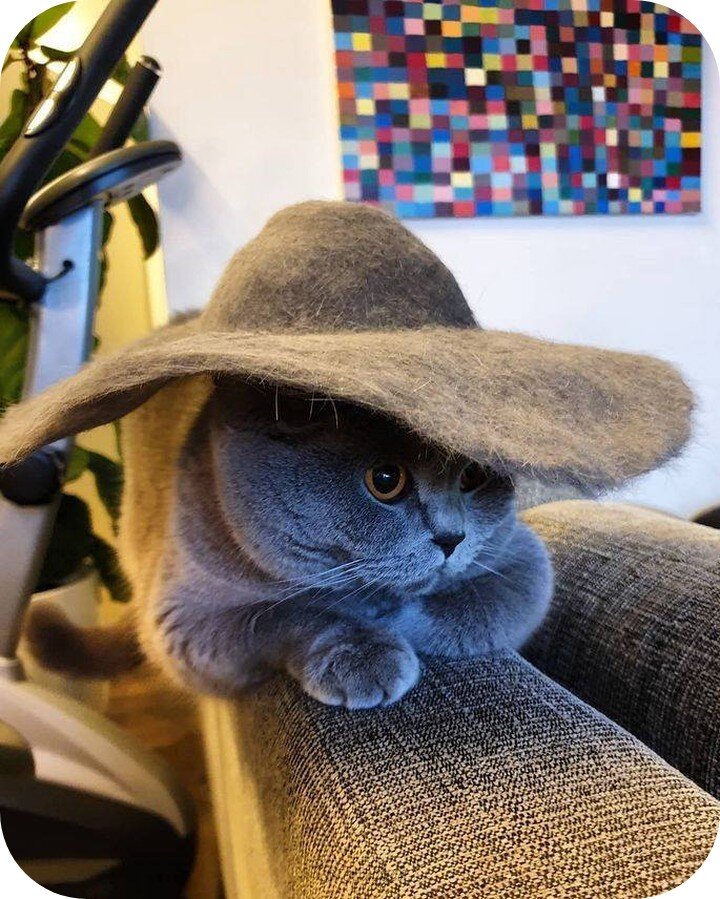 Источник: pinterest.com