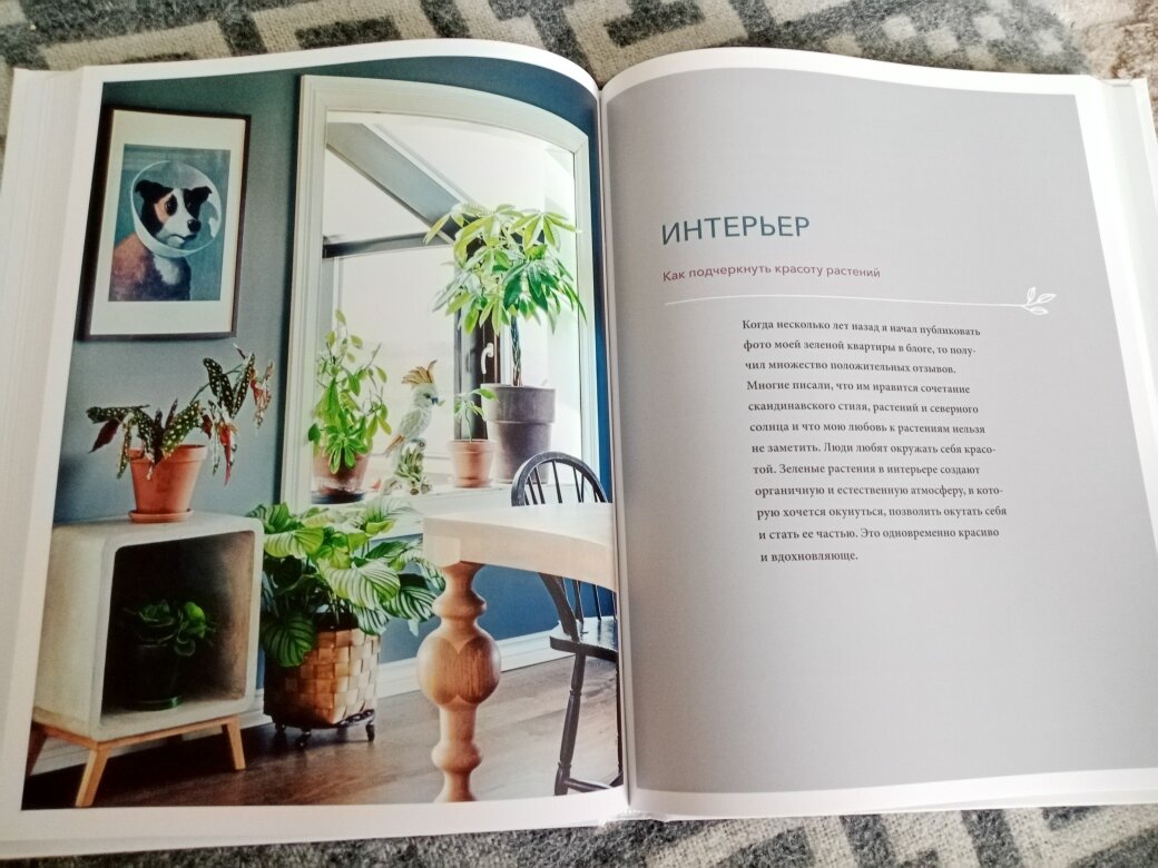 Как вписать растения к интерьер - неплохие идеи, классные фото. Фото автора.