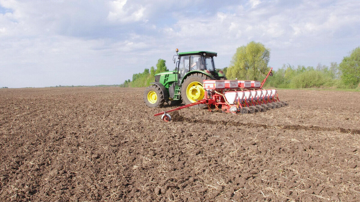     В Ростовской области рассматривается вопрос передачи сельхозтоваропроизводителям в аренду лесополос, чтобы их спасти, сообщили в Заксобрании региона.