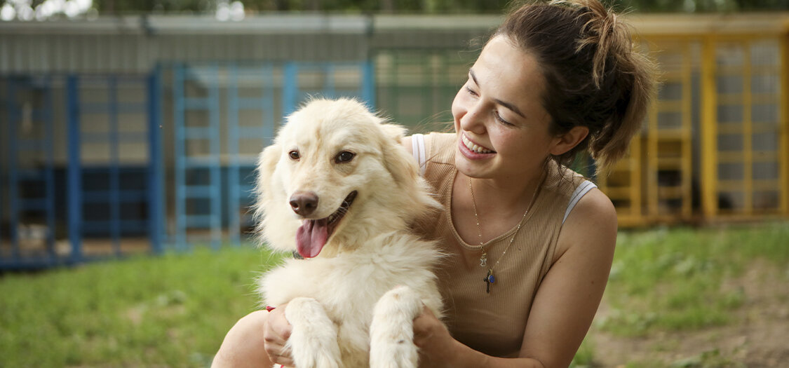 испанский спаниель. русская псовая борзая волкодав метис. русская гончая черноспинная. гончак, русская русская гончая. борзая псовая борзая.