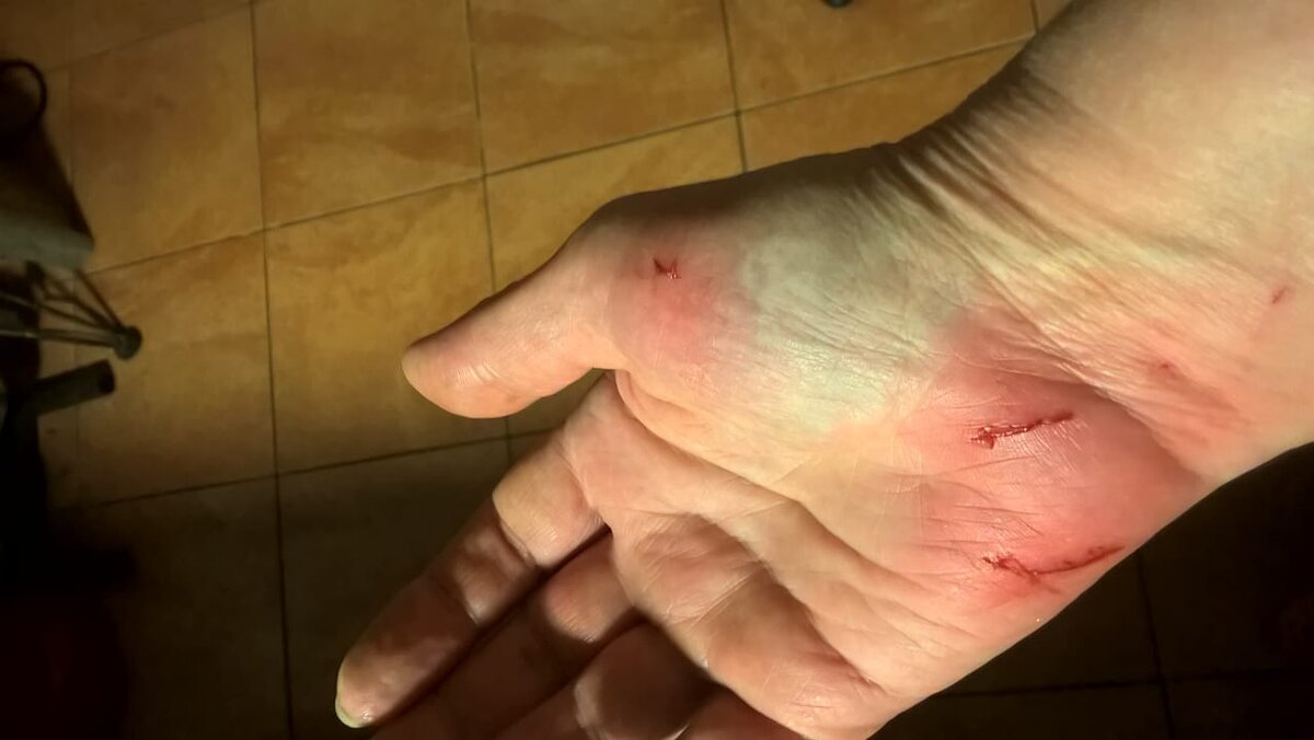 моя рука при попытке прикоснуться к Пушинке в переноске