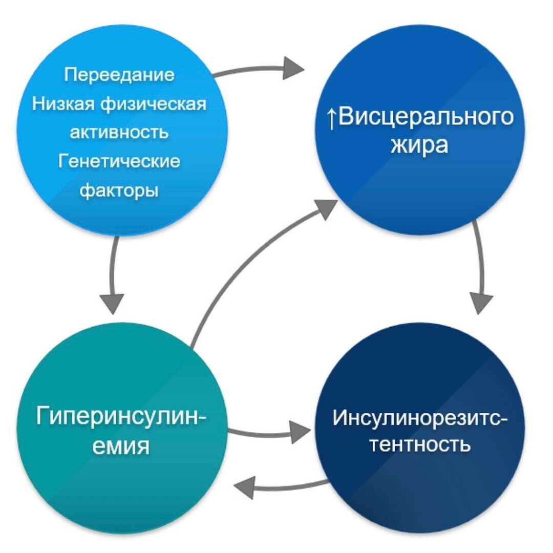 Вы часто спрашиваете: как похудеть при инсулинорезистентности (ИР)? Как правило, в комментариях или в сториз я кратко отвечаю: специфических методов снижения веса при ИР не существует, т.к.-2