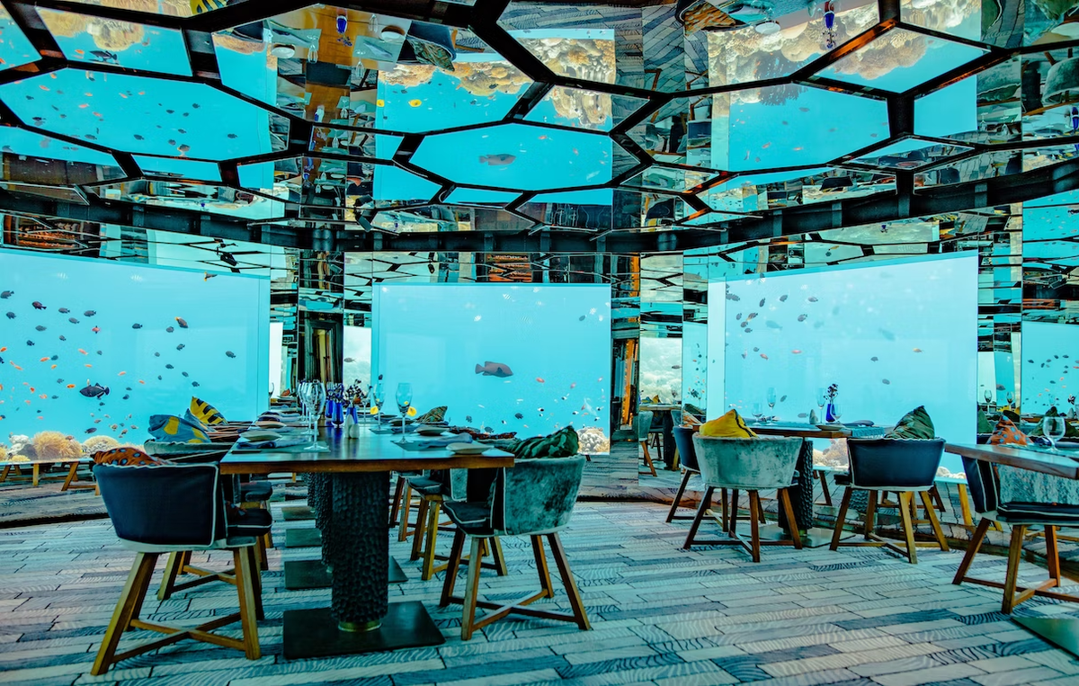 Во время обеда или ужина гости ресторана получают практически 360⁰ обзор на коралловые рифы и авторские блюда европейской кухни от местных шеф-поваров.