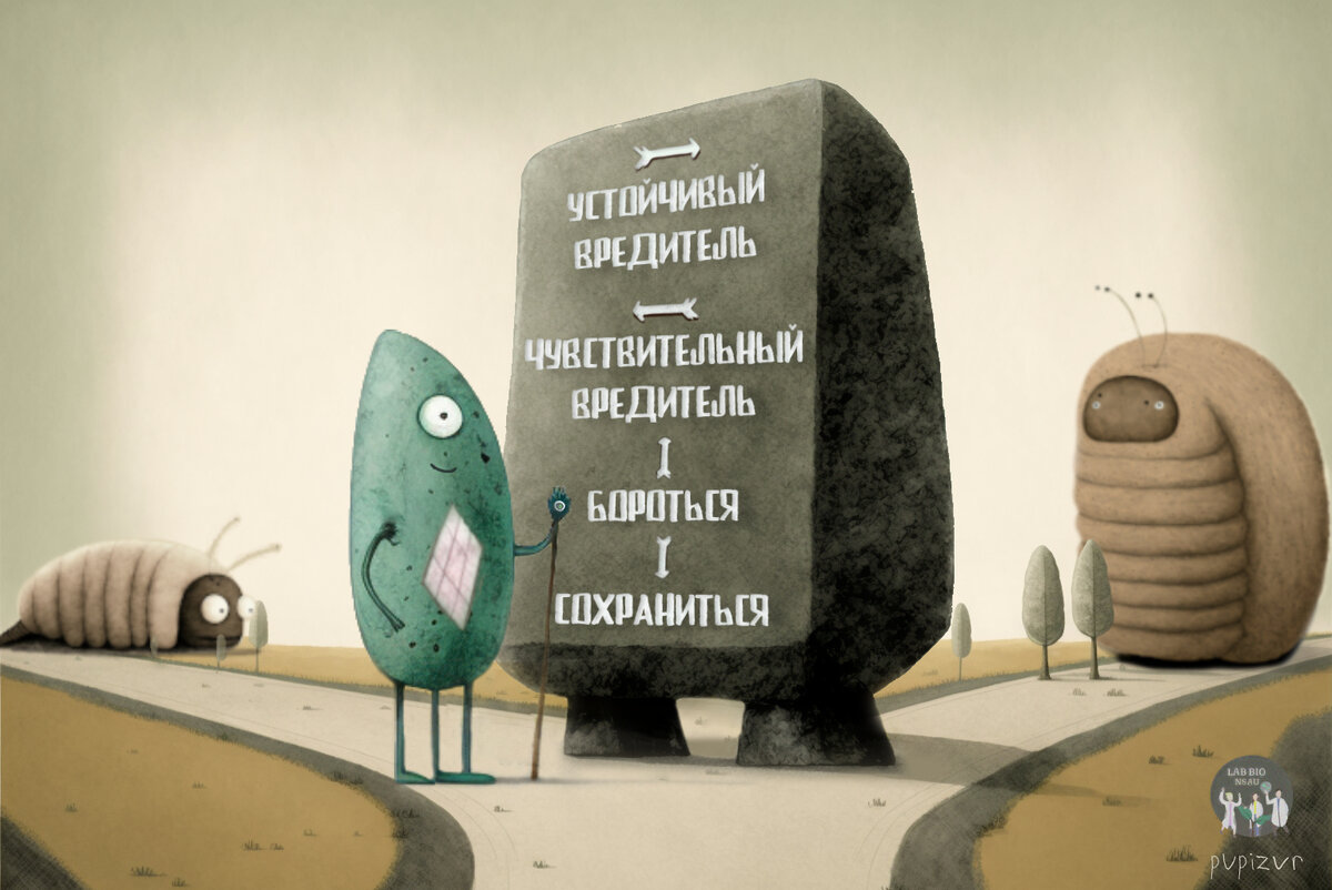 Иллюстрация результатов публикации. Выбор стратегии жизненного цикла бактерий Bacillus thuringiensis при развитии в чувствительном или устойчивом хозяине. Источник: Элина Соколова