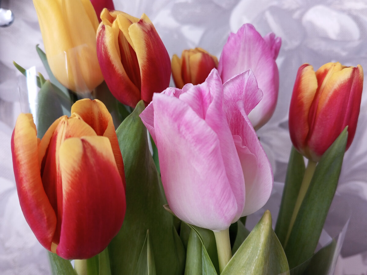 Букет с тюльпанами