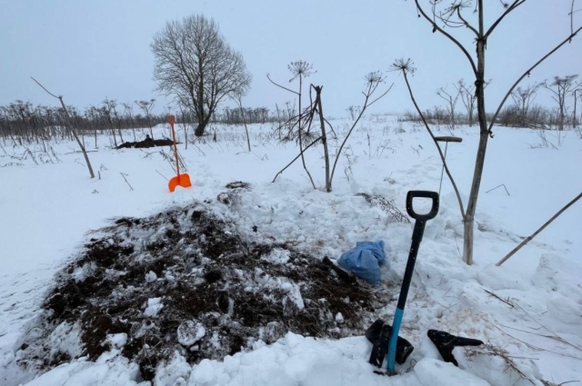    В Ржевском округе были найдены останки солдат, погибших во время штурма