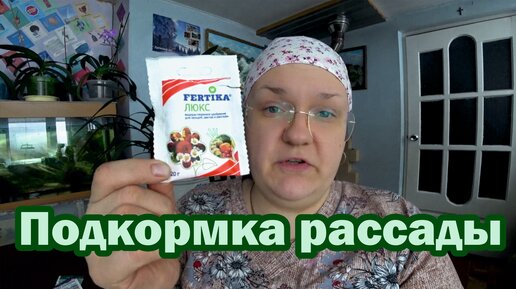 Чем подкормить рассаду?