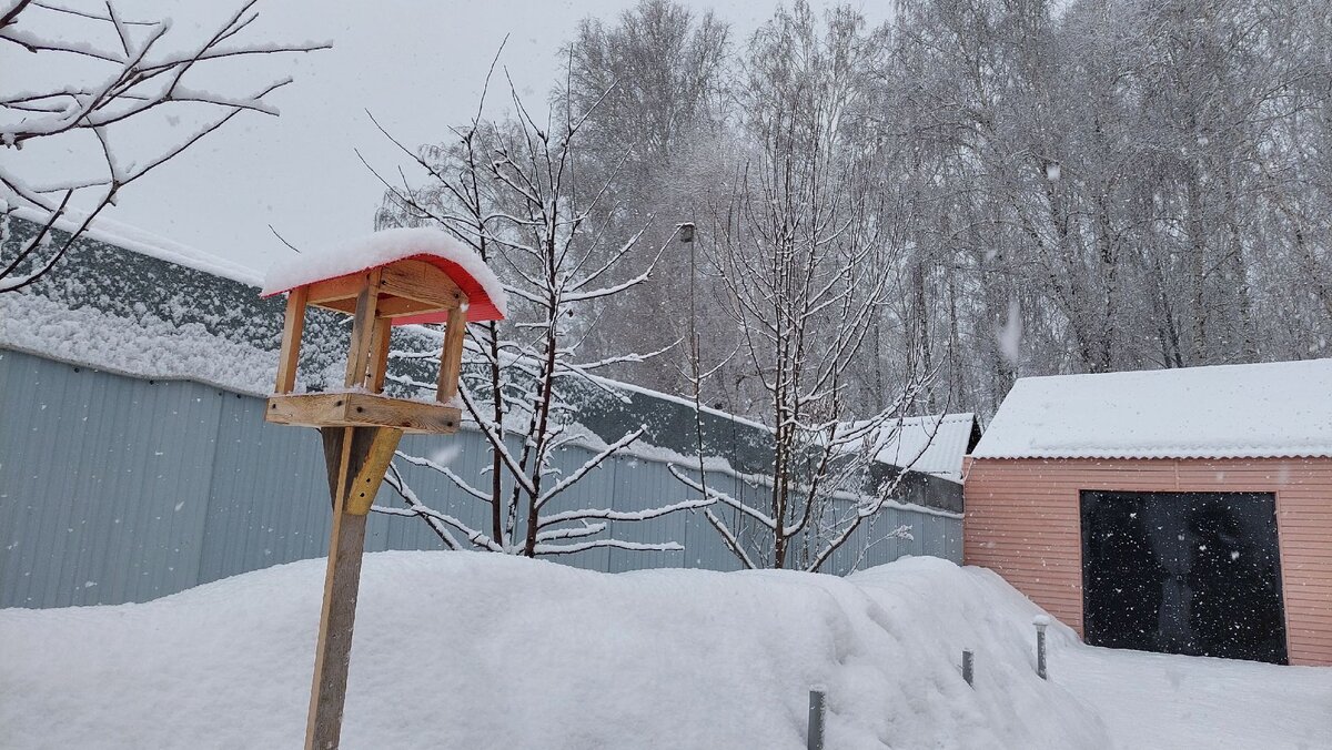 По следам снегопада.