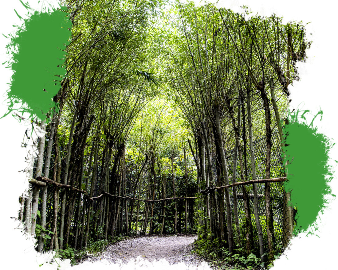 1. Image by Matthias Gabriel from Pixabay 