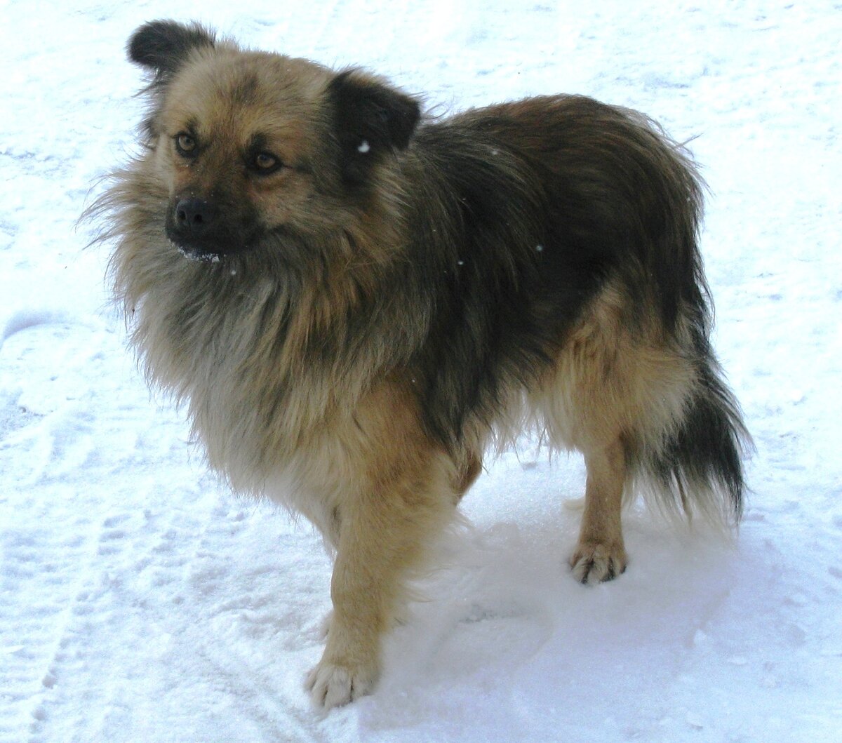 Фото автора