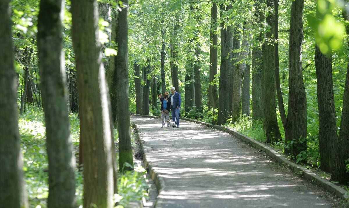 Фото: Андрей Абрамов