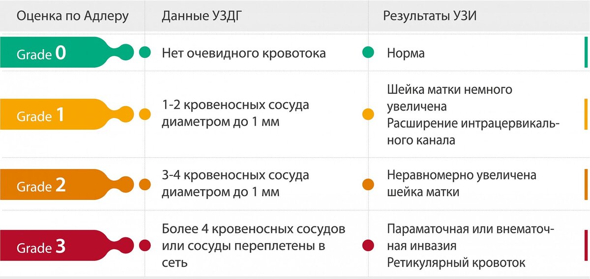 Оценка степени кровотока по Адлеру и результаты УЗИ шейки матки