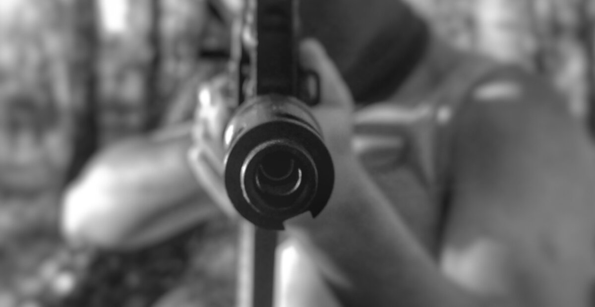 Роман "Депутатка. Начало". Копирование и публикация без разрешения автора запрещена.