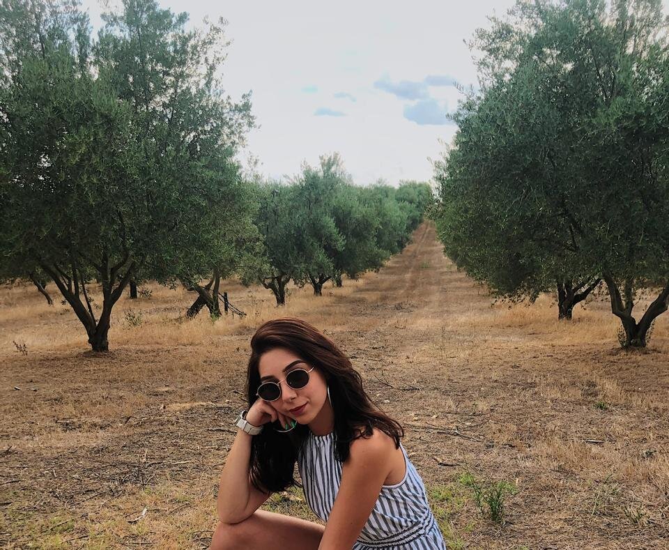 Оливковые деревья