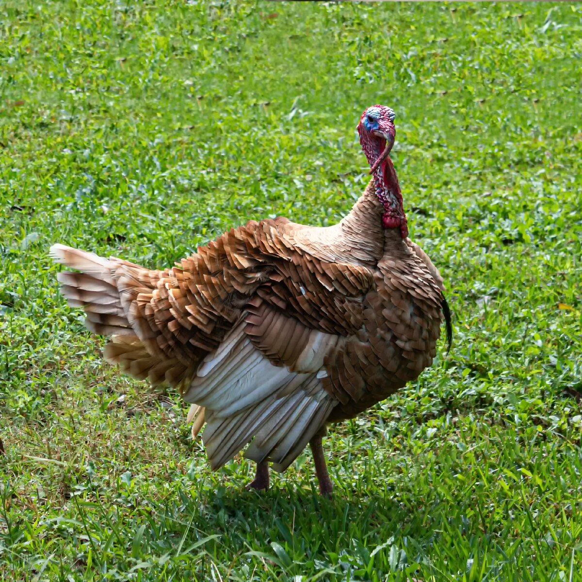  Фото с сайта Unsplash.com