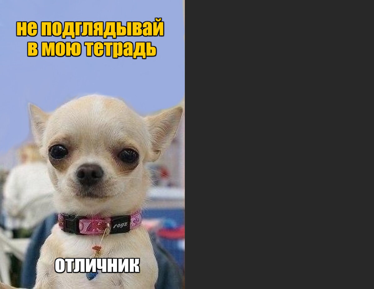 -2-2