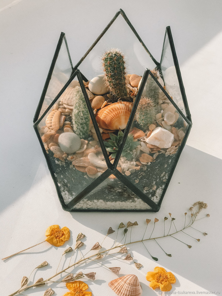 На фото: флорариум из стекла, магазин ФЛОРАРИУМЫ | Шкатулки https://www.livemaster.ru/masha-tsukareva