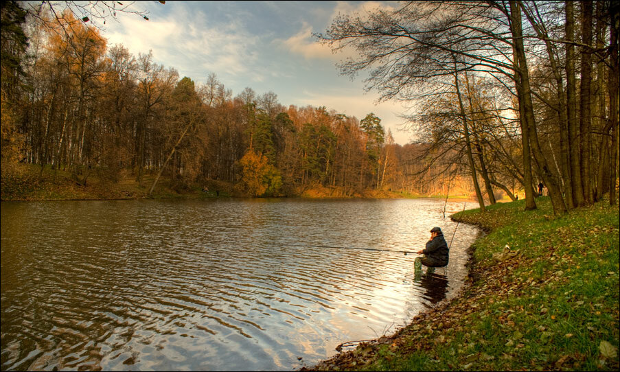 Не смотря на убеждения, что ловля карпа в сентябре – это занятие не только интересное, но и довольно сложное – она вполне доступна даже новичкам. Только нужно учитывать все особенности сезона (погода, смены давления) и характерное поведение рыбы (в осенний период). А также внимательно соблюдать все важные правила для рыбалки: от правильной маскировки до грамотного вываживания на берег.Особенности ловли карпа в сентябре на пруду
Относительно скоро наступит зима, поэтому любая рыба всеми силами стремится, как можно больше «нагулять жирка». Самой прожорливой «особью» в эти моменты считается, именно карп. Вплоть до первых заморозков. По сути, использовать можно любые наживки и приманки, но способы самой рыбалки будут серьезно отличаться, к примеру, от обычных летних. Давайте по порядку разбираться, почему?Рекомендации для новичков
Соблюдайте максимальную маскировку. Обязательно наденьте камуфляж. Не выбирайте места на возвышенном берегу, рыба отлично видит все движения на фоне неба. Именно в осенние периоды рыбалки старайтесь даже забросы делать тише (без лишних брызг). Если нужно, пожертвуйте массой кормушки.
При ловле карпа в сентябре будьте готовы к жесткому сопротивлению в момент вываживания. За лето он хорошо «отъелся», поэтому прибавил в весе. А это значит, и рывки будут внушительными (по законам физики: сила рывка = масса тела * скорость). Ваша оснастка должна быть надежной, а действия – четко выверенными (без лишней суеты).
Не спешите после удачной засечки. Заставьте рыбу утомиться. Поводите ее по кругу, подтяните поближе, а затем «отпустите», в общем, решайте по обстоятельствам.
В процессе вываживания постарайтесь максимально «утомить» карпа
Когда именно ловить карпа в сентябре?
Весь сентябрьский период условно можно разбить на 3 основные фазы:самое ранее утро (со времени начала рассвета и до восхода солнца);
«предобеденное» время (то есть, от 10.00-10.30 утра и до полудня, максимум 12.30);
вечерняя рыбалка – после 17-ти часов (обязательно стоит отметить, что клев карпа в этот промежуток времени, будет самым нерентабельным, тобишь хуже остальных).
Рыбалка на карпа в начале сентября
В первые 2 недели месяца (конечно же, в зависимости от погодных и климатических условий местности) наиболее перспективной будет первая фаза. То есть, на зорьке (до полного восхода солнца). Вода еще не до конца остыла, поэтому все рыбы выдвигаются кормиться, как обычно (в летний «график»). При условии похолоданий, старт забросов стоит передвинуть на ступеньку выше – т.е. на вторую фазу. Вечерние забросы – актуальны, но на «крупняк» надеяться не стоит. В это время будет кормиться только молодая и неопытная мелочь.
Читайте также:  Поиски крупного карпа весной, летом, осенью и зимой
Карповая рыбалка в конце сентября
При условии нормальной осени (без аномальных похолоданий и прочих «сюрпризов» природы), в 3-ю и 4-ю недели сентября лучшим временем ловли карпа будет 2-я фаза (предобеденное время). Вода уже порядочно остыла, и карп не отличается активностью, а значит – аппетит не нагуляется так быстро, как это было летом, например. Усиленный поклев будет к 12 часам, когда вода прогреется. Учтите, что для второй половины месяца характерны снижения температуры, ближе к концу дня, поэтому вечерняя ловля карпа в конце сентября – почти совсем не актуальна.Сентябрьский карп и погода
Погодные факторы очень важны, особенно при ловле карпа ранней осенью. Он любит тихие денечки, а это значит, что в ясную погоду (без порывов ветра и дождя) Вас ожидает клев почти на все насадки. Во время дождя или даже при слабом ветерке он будет прятаться на самой глубине.Выбор места рыбалки на карпа в сентябре
Для начинающих рыболовов будет полезно знать 3 основных «закона»:нужно искать пруды и водоемы именно с илистым дном (реже карп будет водиться на твердом дне, и почти никогда (!) на каменистом);
при выборе будущего места рыбалки имейте ввиду, что карпы любят дружить с карасями (т.е. где есть караси, там будут «железно» и карпы);
стоит учитывать, что, сам по себе карп, – это одомашненная (в большей степени — искусственная) форма сазана, поэтому, больше шансов его поймать, все-таки, на платных водоемах, нежели естественных.
Важная особенность ловли карпа в сентябре – это тот факт, что вода становится прозрачной / чистой, тем самым, идеально пропуская солнечные лучи. Карпу (особенно крупному, а значит и мега опытному) данное обстоятельство совсем не по душе, поэтому он прячется на глубине. Кстати, по этой причине они и любят водиться в илистых, а значит мутных / непрозрачных водоемах.Следующий момент – ищите его исключительно в ямах. Сразу настройтесь на то, что частых поклевов может и не быть, если мы ловим его, так же, как летом. Но если досконально провести разведку местности (на предмет выявления самых больших впадин и ямок до 4-5 метров) Ваши шансы выловить трофеи – очень сильно возрастут. Рекордный вес трофейного сентябрьского карпа – составил 42 кг!
