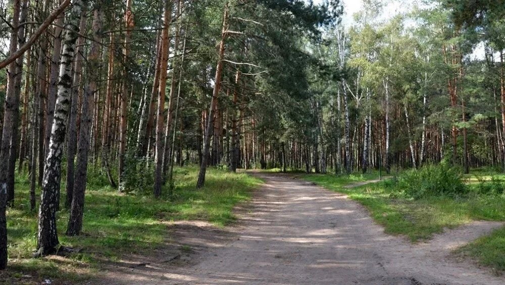 Заказник "Жулебинский". Фото: https://ok.ru