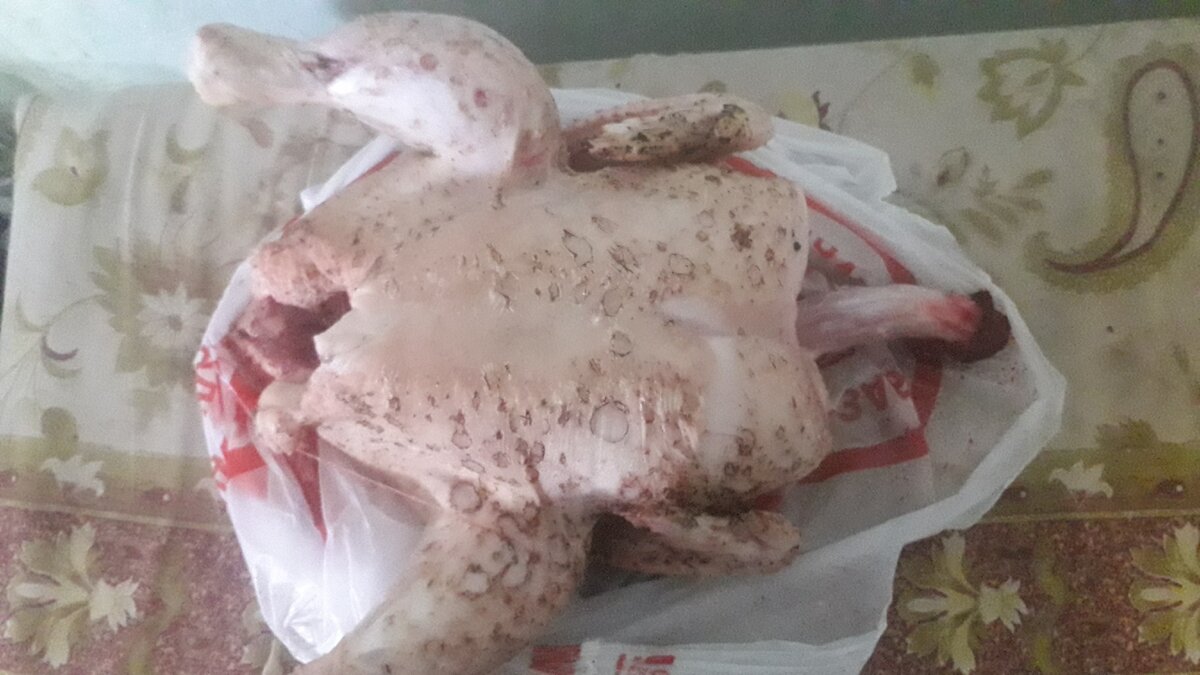 Средний вес птички 3 кг, больше растить смысла нет