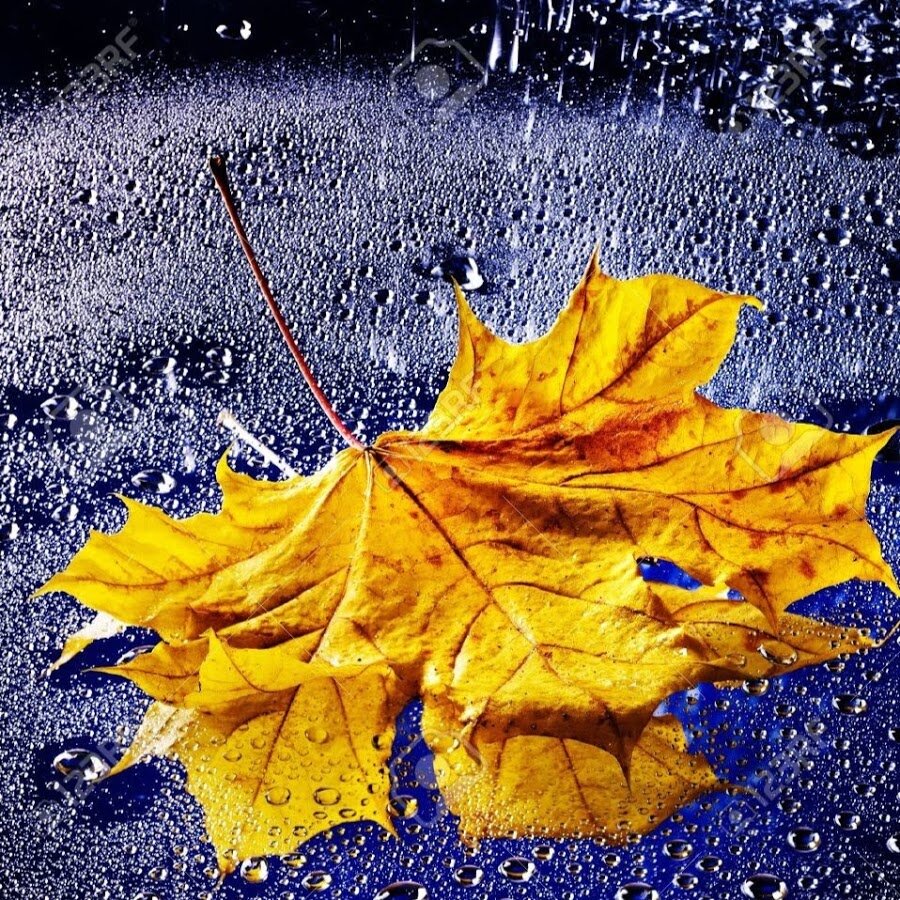 Фото: Яндекс.Картинки