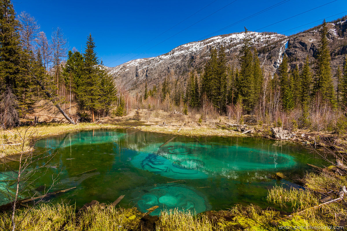 Красивые места на алтае фото