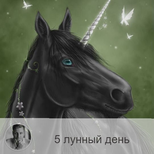 Подписывайтесь и ставьте 👍
5-ый лунный день с 11:35 21-ого по 13:05 22-ого. 🔆 Не стоит сильно ограничивать себя в еде.
🦄 Символ дня – единорог.
🎂 Люди, рождённые в этот лунный день, как правило богатыри и маги. Им не требуется много есть, так как даже незначительное количество еды у них переходит в силу и преобразуется в астральную энергию. Такие люди ценят качественную пищу. Если такой человек не развивает полученную энергию, то он разбрасывается по мелочам, и на большие дела сил уже не хватает.
💍 Камни – бирюза и мрамор.
🌞 Очень благоприятный, удачный день, если проявлять активность, творческое видение и стремление к цели. Сегодня победа будет на стороне добра и света, так что можно без страха проявлять свои чувства и эмоции. Очень полезно проводить очищающие обряды помещения с использованием трав.
✅ Рекомендуемые практики: правильно употребляя продукты в этот лунный день можно запастись энергии на целый месяц. Ешьте любимую пищу. Не обязательно сильно наедаться, но и ограничивать себя в пище или голодать тоже не рекомендуется. Этот день для того и дается, чтобы восполнить все необходимое.
Благоприятно отправляться в дорогу и работать с травами: собирать их, готовить настои и лекарства.
❌Запрещено: мясо.
💊 Обратите внимание на пищевод и желудок.
⚠️ Знак:
Слёзы в этот день действуют очищающие. Надо выяснить причину слез и обязательно поработать с этой проблемой. Тошнота и рвота сигнализируют о том, что вы неправильно используете энергии этого лунного дня, и произошло астральное отравление, которое может привести к заболеваниям желудочно-кишечного тракта.
💤 Особенно благоприятны сны, во время которых вы плачете — это очищает тело и душу. Если приснится дорога — всё прекрасно, а если увидите нечто неприятное, обратите внимание на состояние своего здоровья, возможно, пришло время серьёзно им заняться.

—————
✓ Помогаю сделать лучший выбор
Олег Персидский ⇨ numeromagic.ru/uslugi