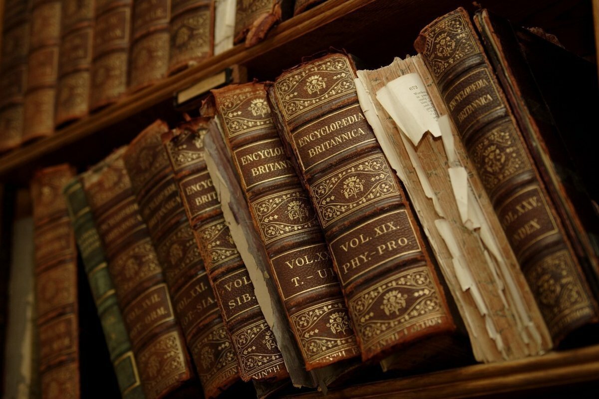 Взято с yandex.ru/images