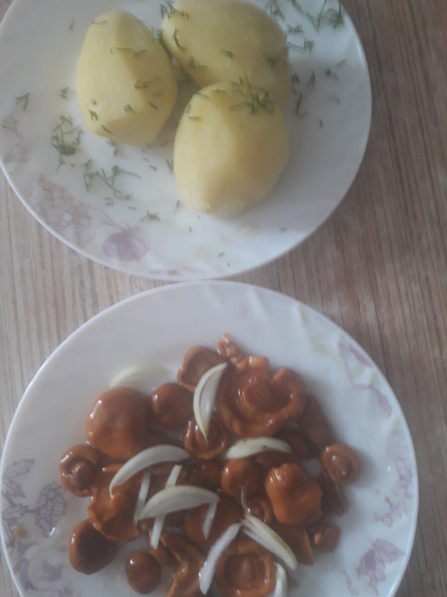 Рыжики с лучком и молодой картошечкой.Фото автора