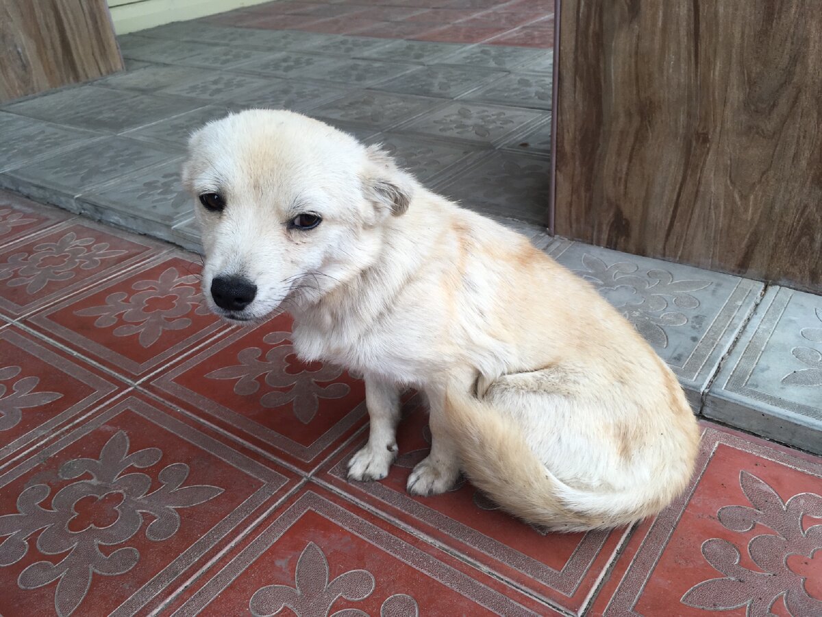 Про этого красавчика будет история.