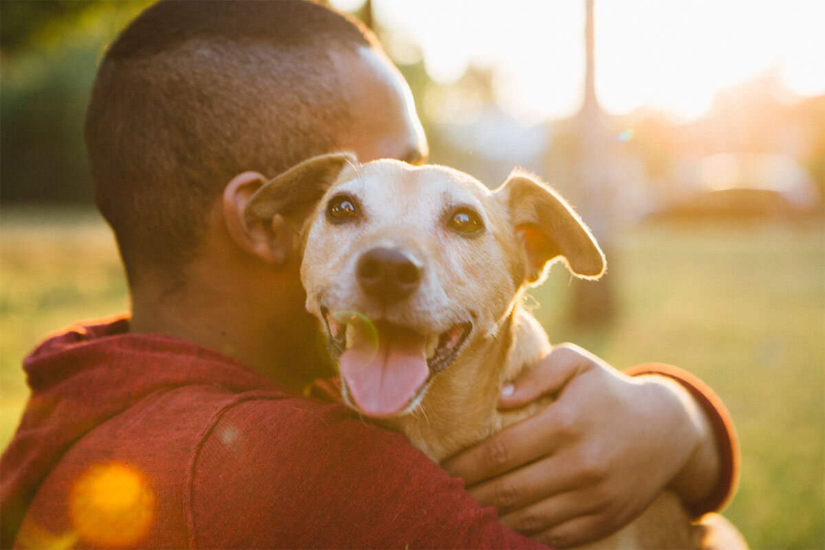 Que hacer cuando un cachorro muerde a su dueño