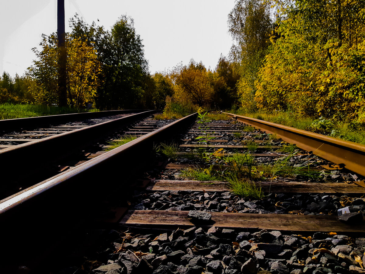 Два пути? А куда они ведут то? Будем считать шпалы?