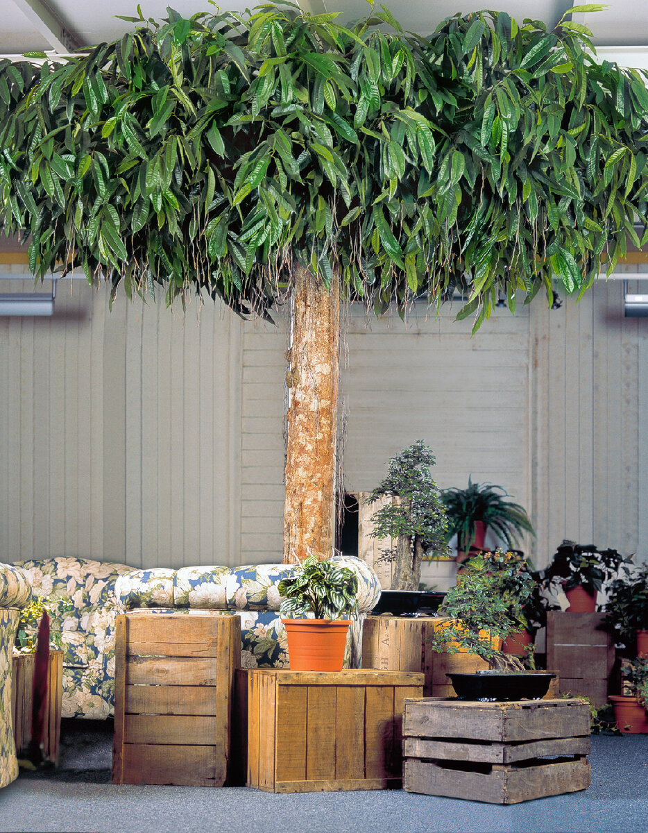 Искусственная лонгифолия марки Treez Collection арт. 10.36110N.