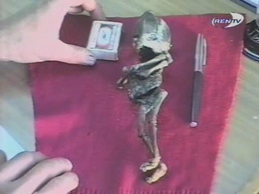 Реальное фото гуманоида Алешеньки, найденного в 1996 году