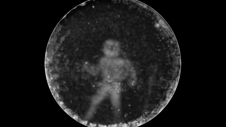 Человек глазами дельфина. Источник luckclub.ru 