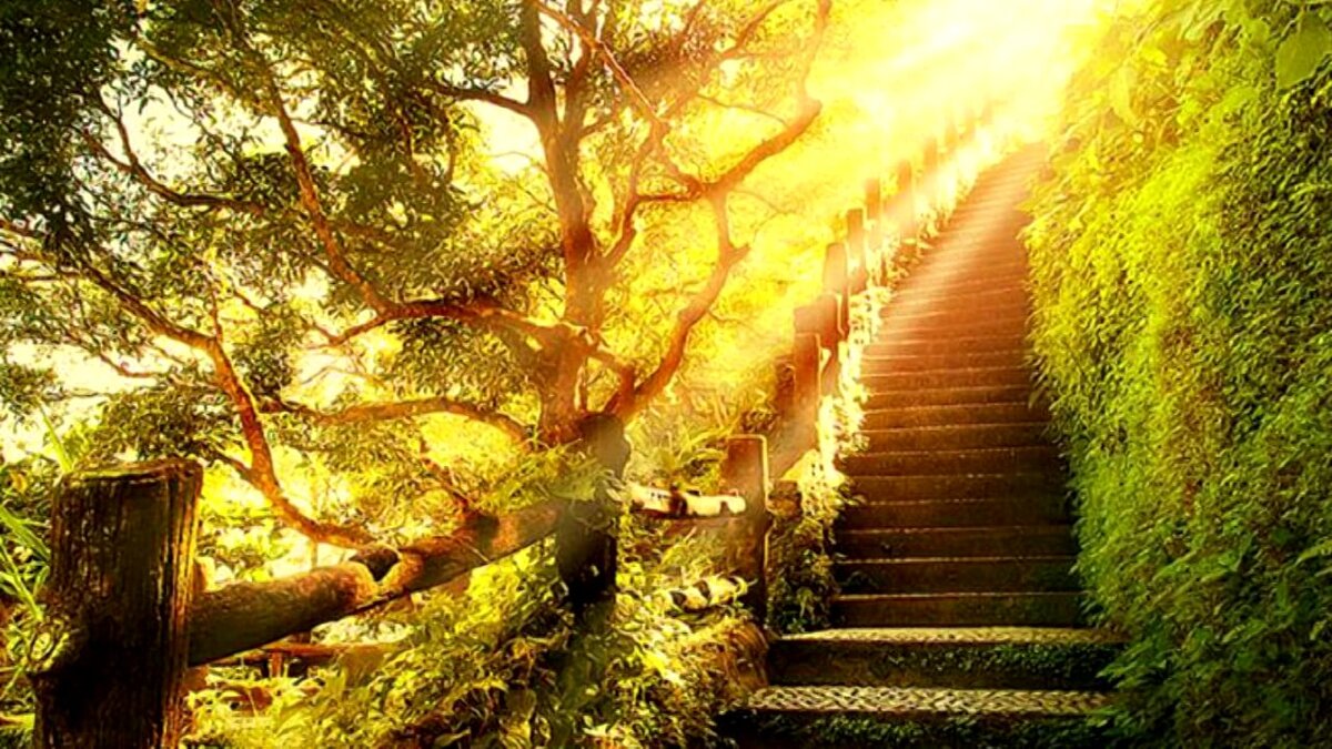 Лестница пути. Лестница вверх. Лестница к солнцу. Лестница к Богу. Лестница вверх природа.