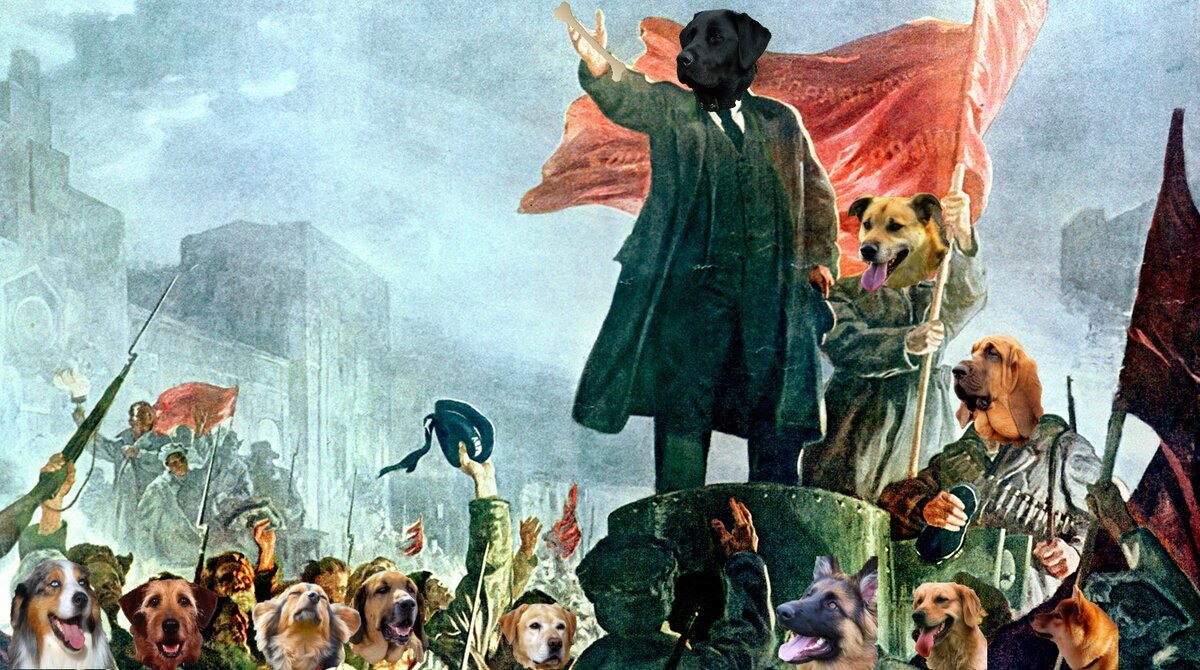 Вождь собачей стаи собирает сторонников при борьбе с Kэtалистами.