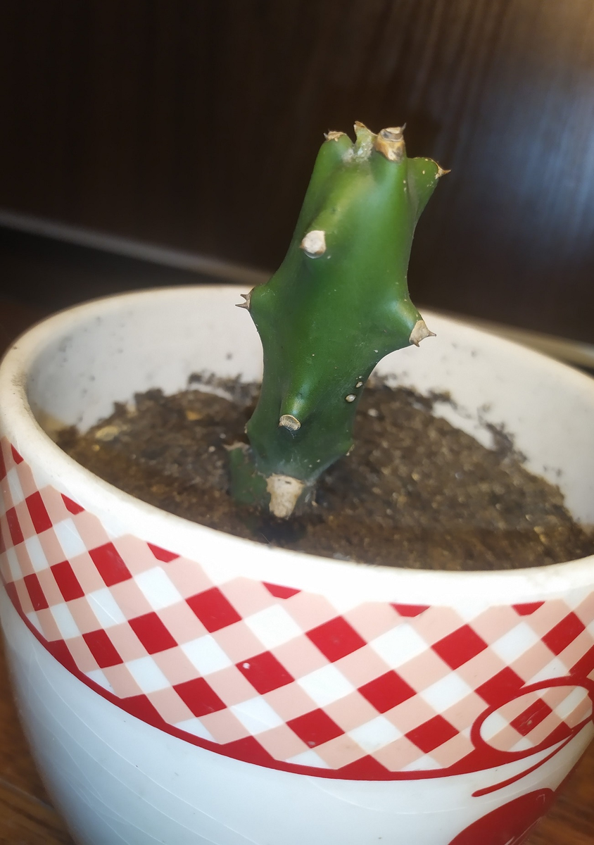 До парникового эффектаПП