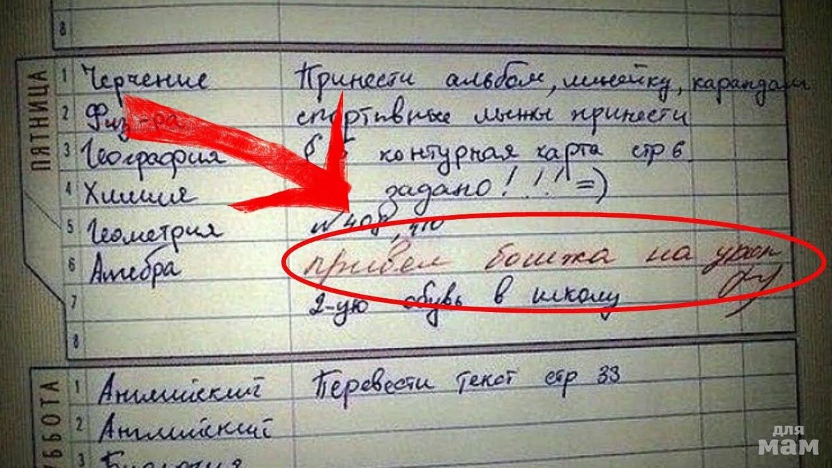 Ученики атакуют учителей: прикольное из дневников | Отдохни от будней | Дзен