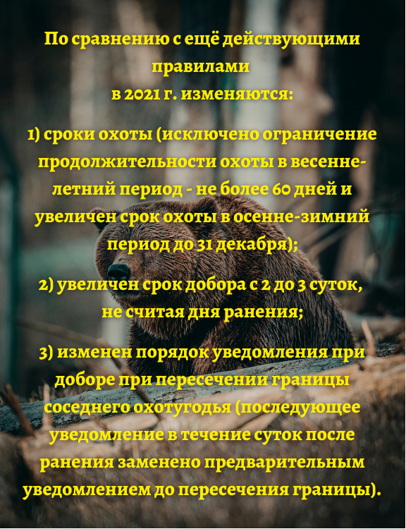 Изменения в Правилах охоты на медведей.